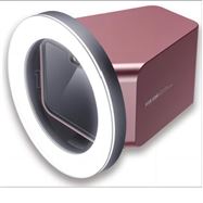 高温视频引伸计